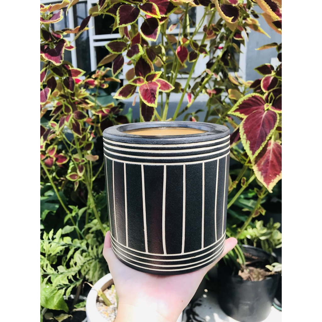 Chậu sứ trồng cây size nhỏ