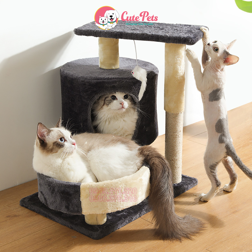 [HOÀN TIỀN 10%]Nhà cây cho mèo Cat Tree 50x35x55cm dành cho mèo - Cutepets