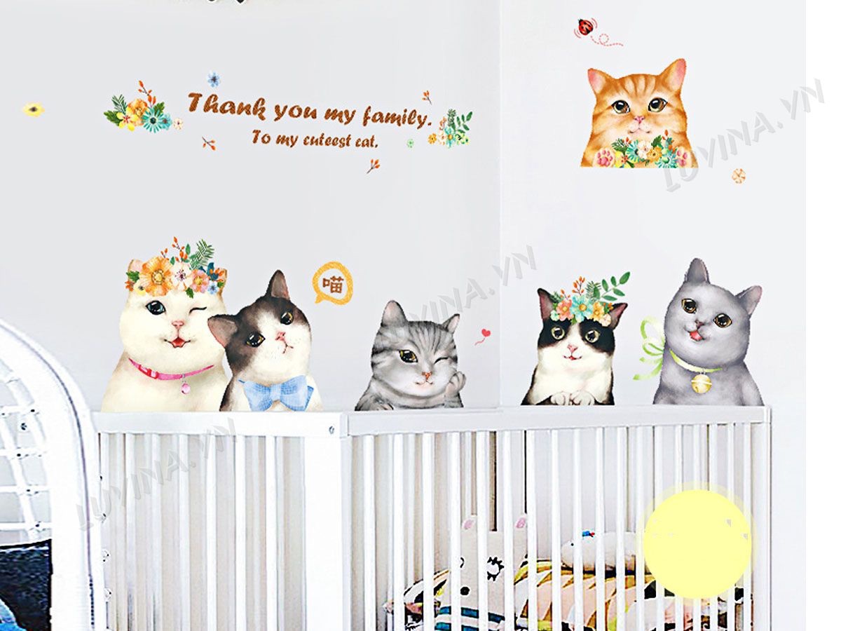 Decal tranh dán tường Những chú mèo ngộ nghĩnh