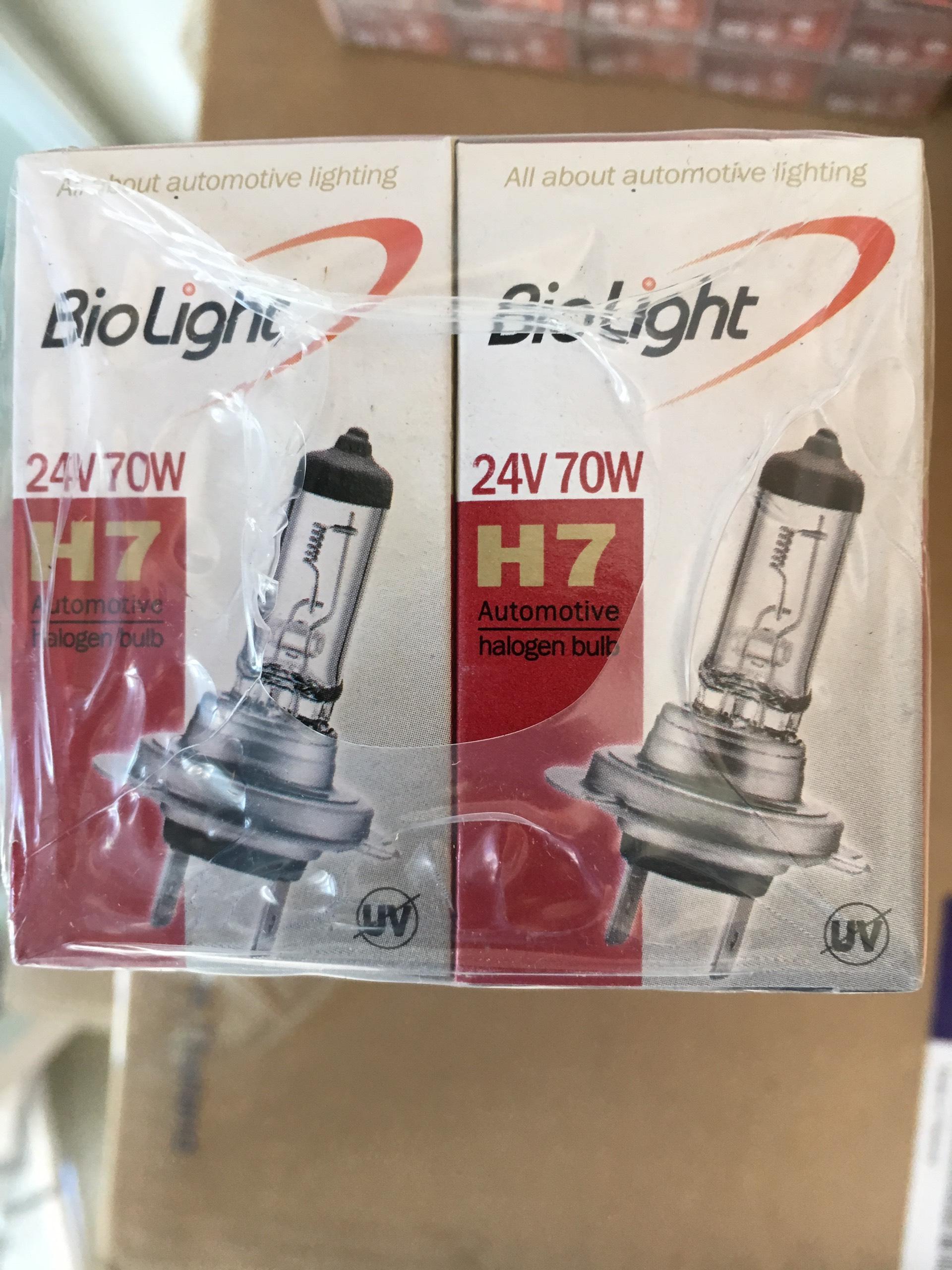 24v 70w h7 bóng đèn xe hơi biolight hàn quốc