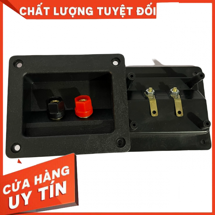 Hậu loa - trạm loa karaoke 8cmx9cm: Giá 2 chiếc
