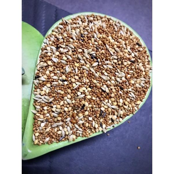 Hạt trộn cho vẹt nhỏ(yến phụng lovebird bảy màu…) gói 1kg