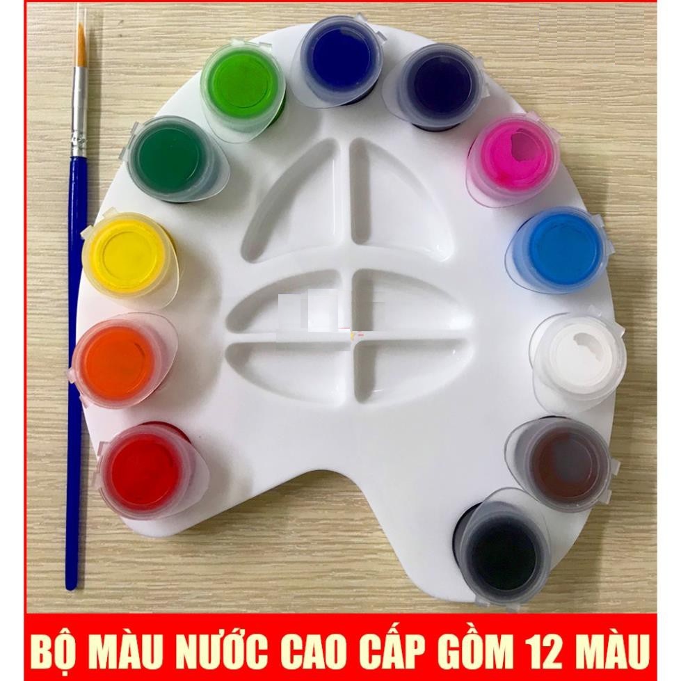 Màu nước con công 12 màu winq w-02