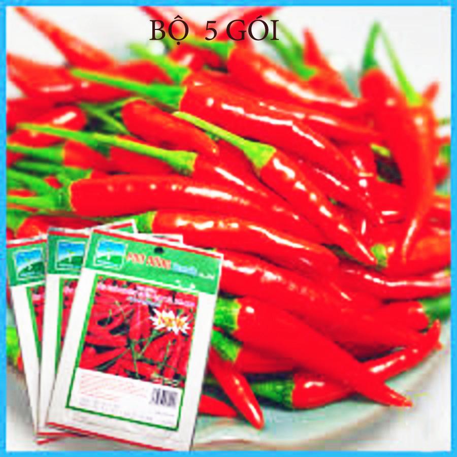Bộ 5 gói -hạt giống ớt chỉ thiên siêu cay pn-400 pn - 0.1g