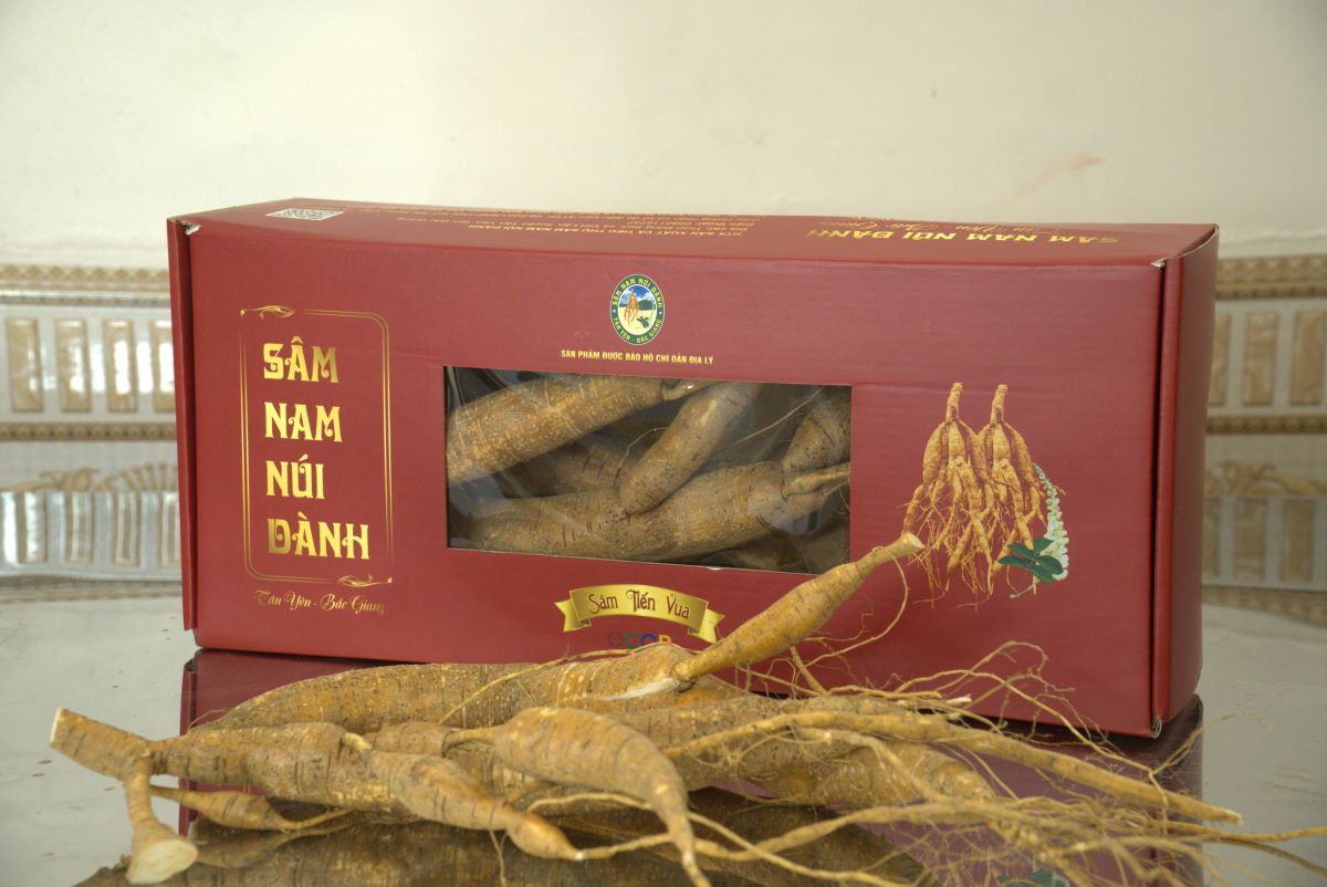 Củ sâm nam núi dành tươi 1kg - sâm tổ núi dành