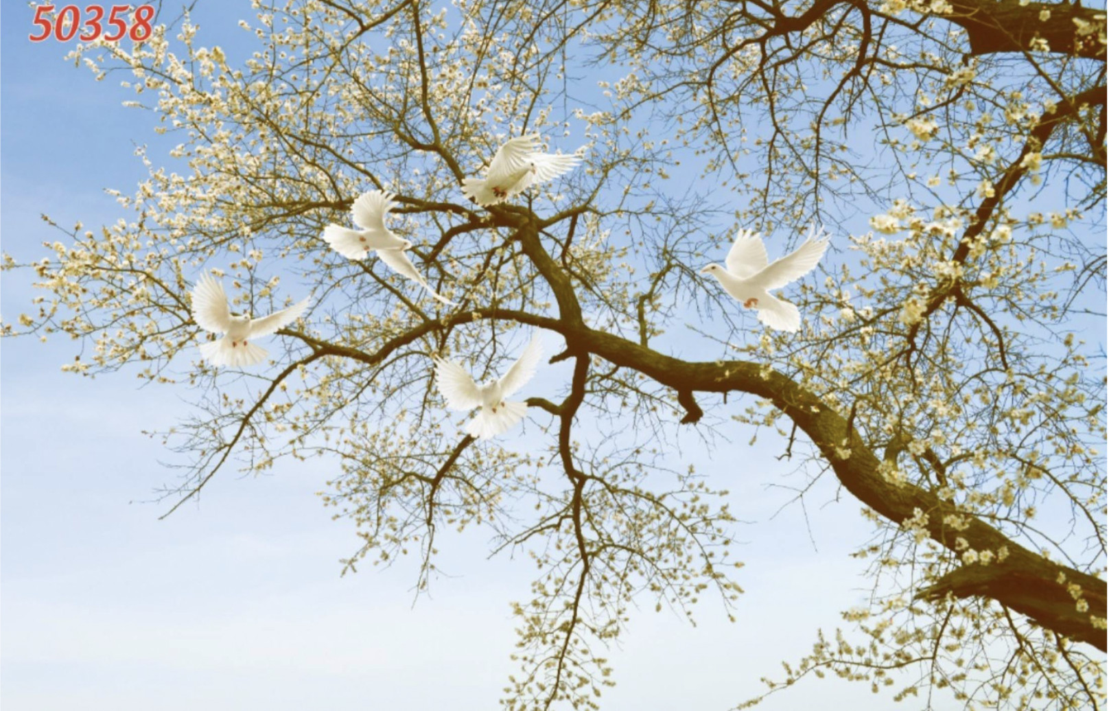 Tranh dán tường 3D Phòng Khách/Cánh Chim Bồ Câu, 358(Đã tích hợp sẵn keo)