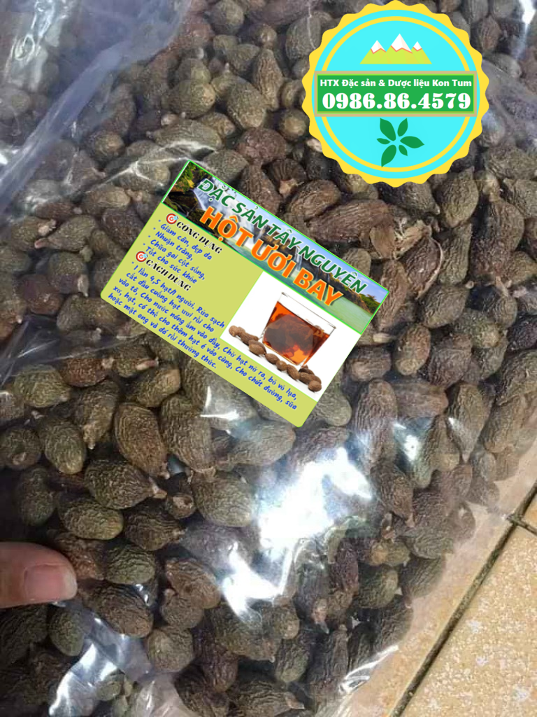 1kg Hạt đười ươi bay loại vip Kon Tum đủ tiêu chuẩn xuất khẩu (có Hút chân không)