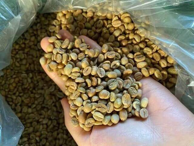 CÀ PHÊ NHÂN SỐNG 1KG NHÀ TRỒNG DAKLAK