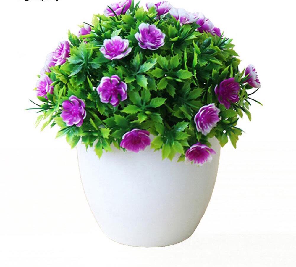 Hoa giả - chậu cây mini để bàn, chậu hoa lali trang trí nhà cửa, hoa giả trang trí quán cafe, khách sạn, phim trường chụp ảnh