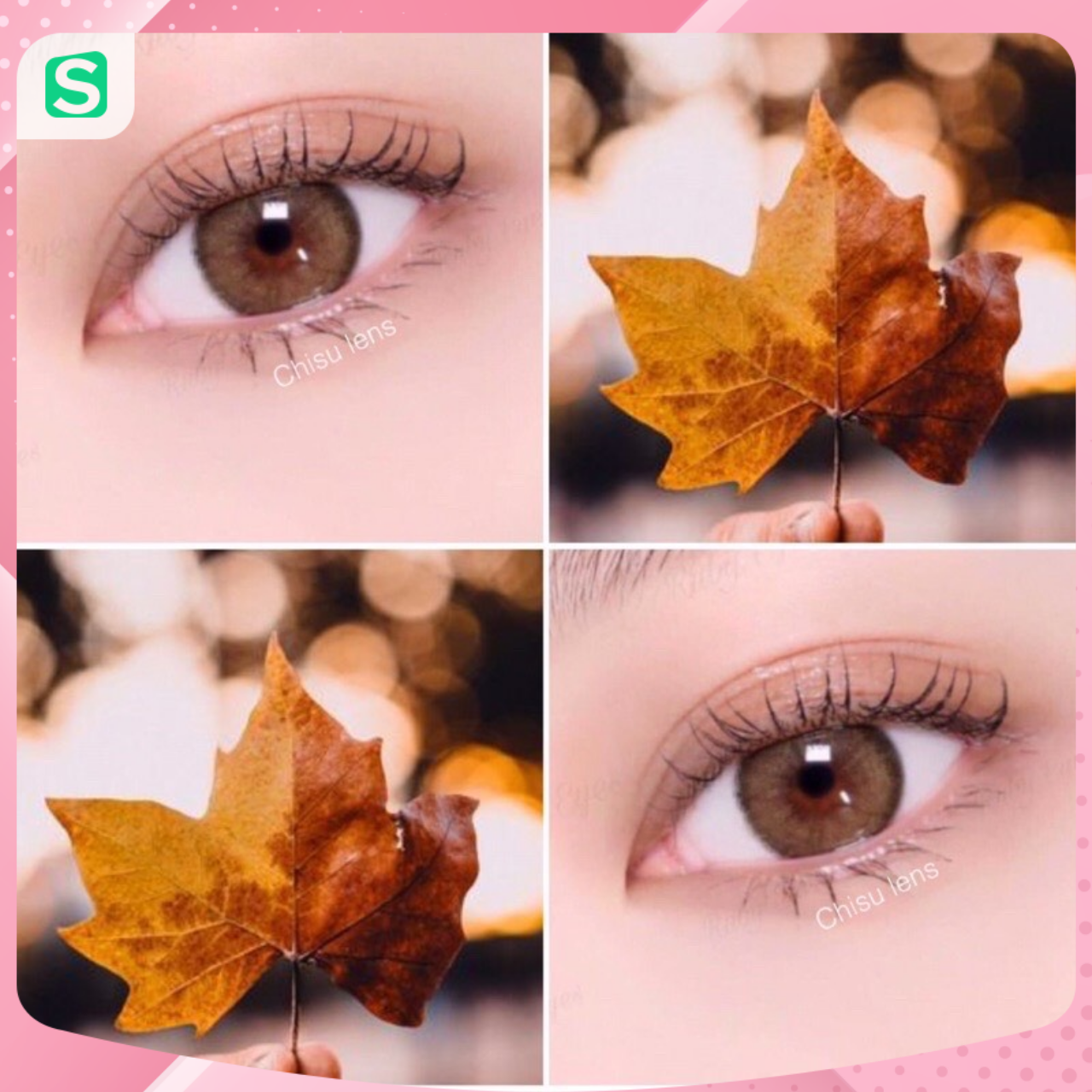 [Hot trend] Lens mắt nâu tây đủ độ cận 0-6 (dòng lens 1 năm sử dụng) tặng kèm khay gương dụng cụ đeo