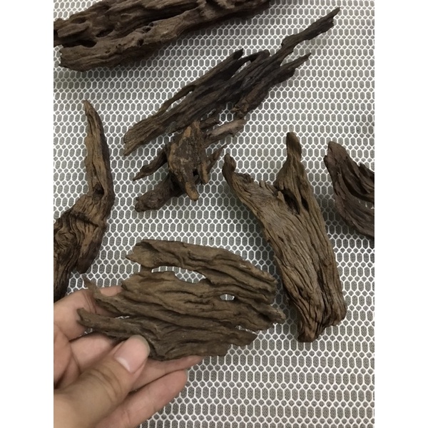 Lũa san đá nhỏ vân lũa siêu đẹp cho bể cá nhỏ