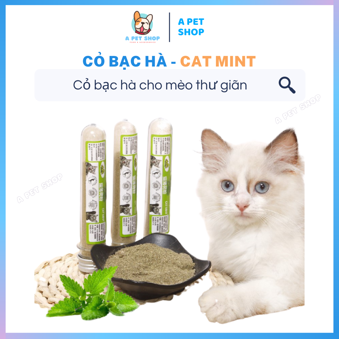 Cỏ bạc hà CAT MINT cho mèo cỏ catnip cho mèo chơi - a pet shop