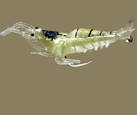 Mồi câu lure tôm giả, mồi lure cao cấp