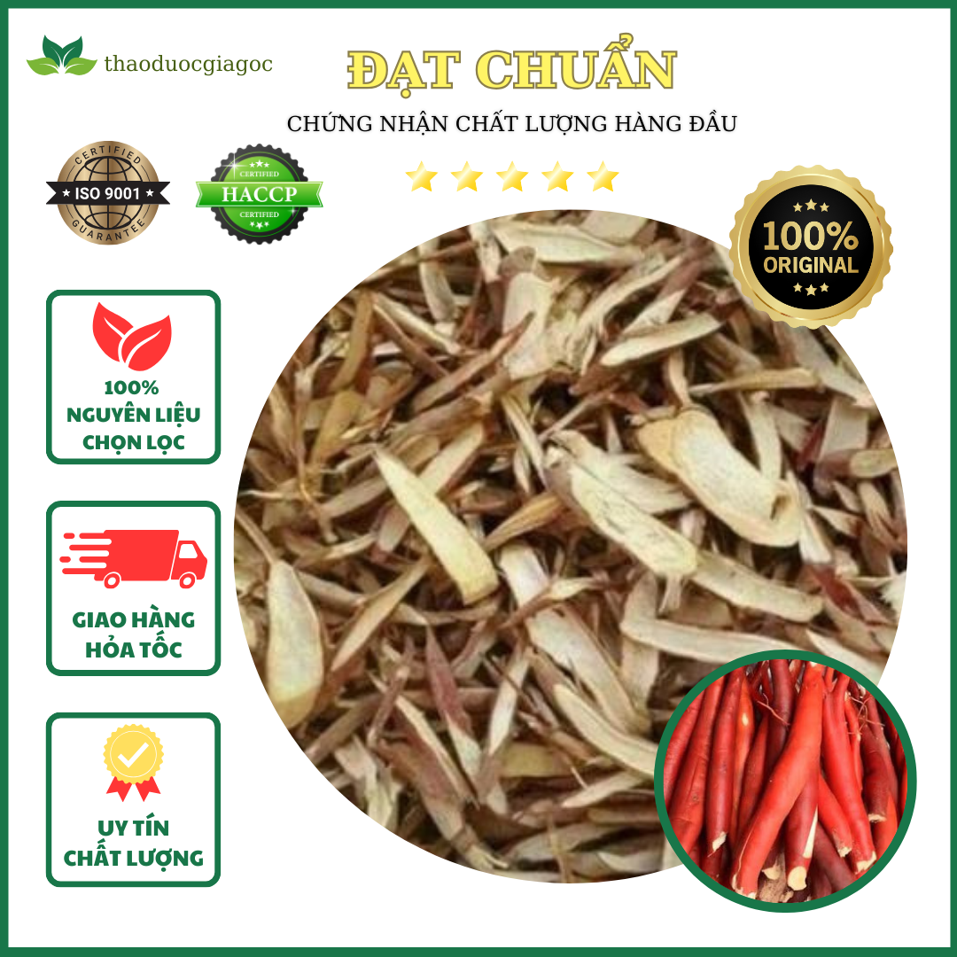 Sâm cau đỏ rừng tây bắc 1kg