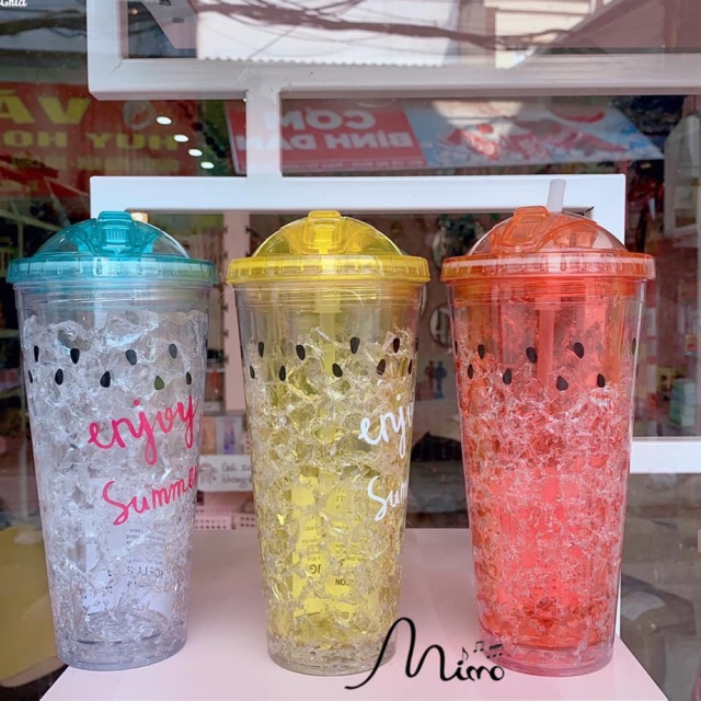 Bình nước 2 lớp làm mát 650ml kèm ống hút