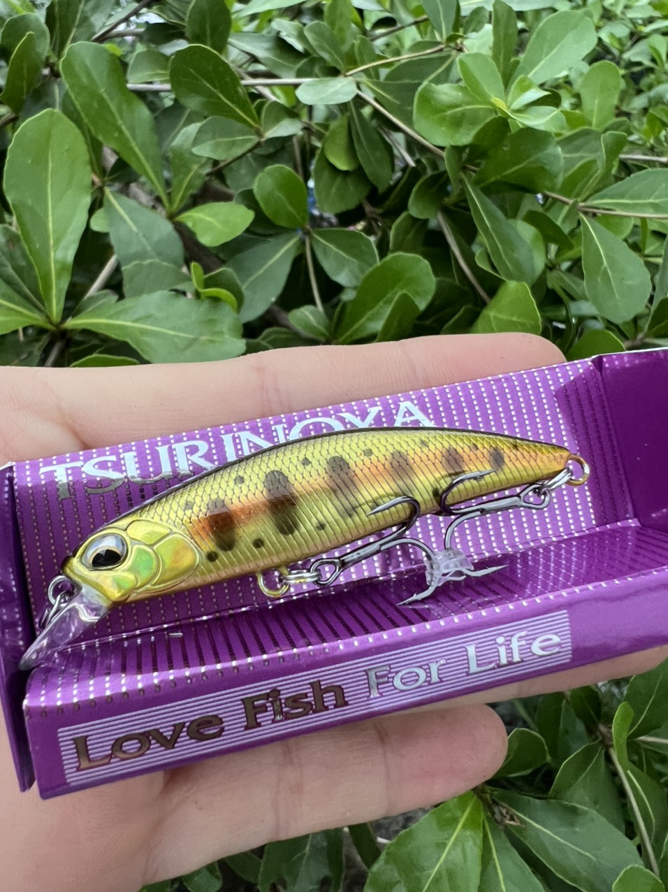 Mồi lure dw67 chuyên câu cá chẽm, măng