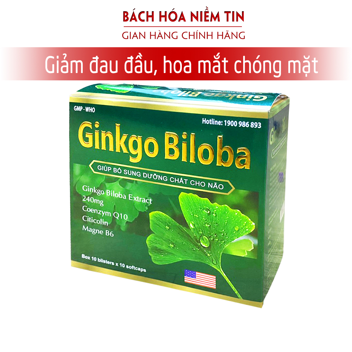 Viên uống Ginkgo Biloba  100 viên - Giảm nguy cơ tai biến, đột quỵ, đau đầu chóng mặt, rối loại tiền đình hiệu quả - Thành phần thảo dược an toàn tuyệt đối  chuẩn GMP Bộ Y tế