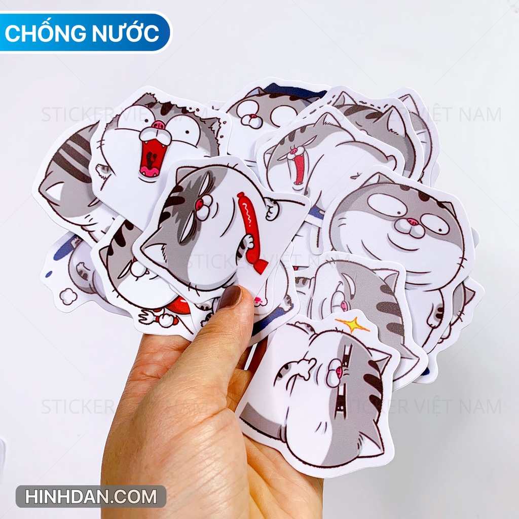 Mèo ngộ nghĩnh chất liệu pvc cao cấp chống thấm nước dán trang trí | sticker việt nam