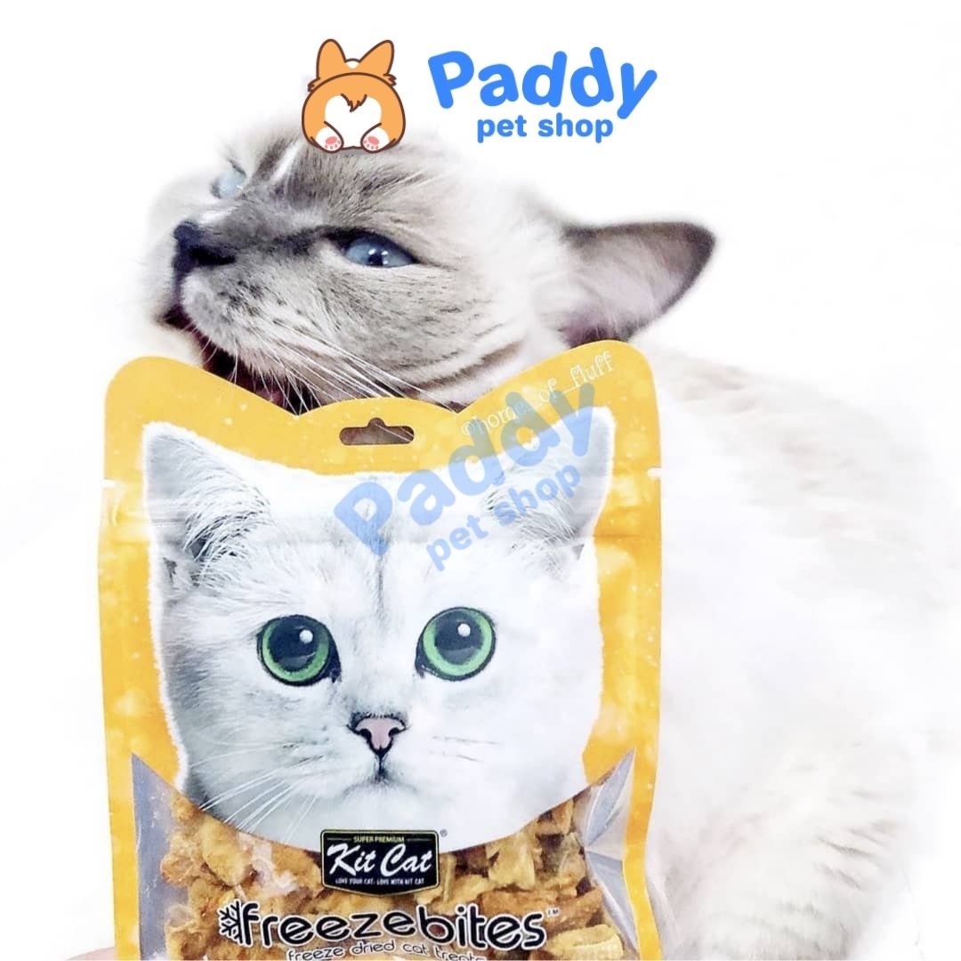 Cá & Gà Tươi Sấy Khô Kit Cat Freeze Bites Snack Cho Mèo 15g
