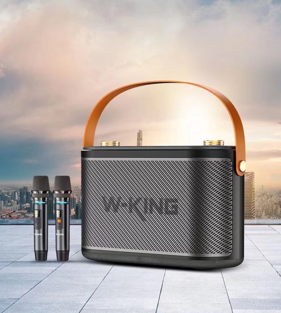Loa Karaoke Xách Tay W-King T10 H10 Công Suất 120W tặng kèm 2 míc H10S80W