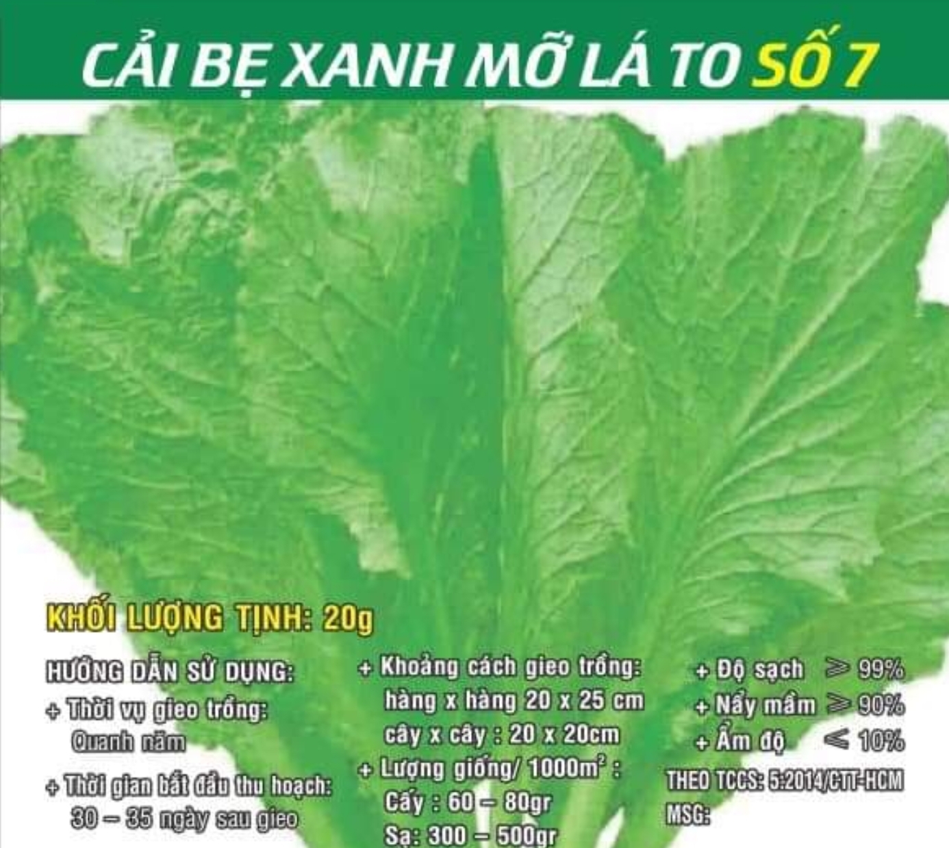[HCM]Cải bẹ xanh mỡ lá to