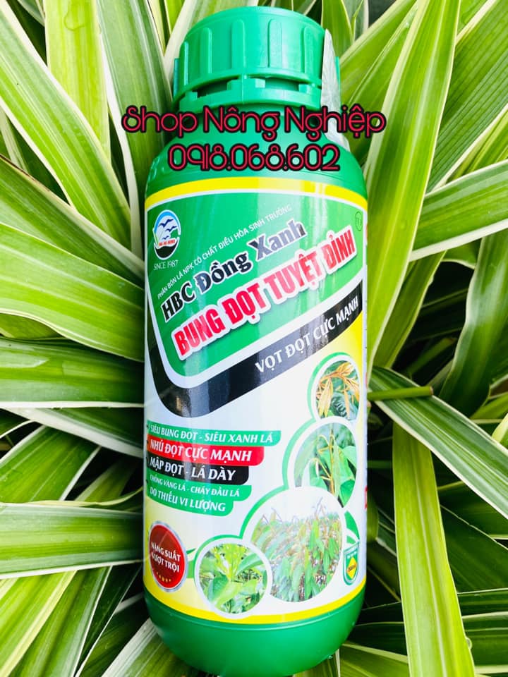 Phân bón lá HBC Đồng Xanh giúp bung đọt mạnh, xanh lá, dày lá, mập đọt 500ml