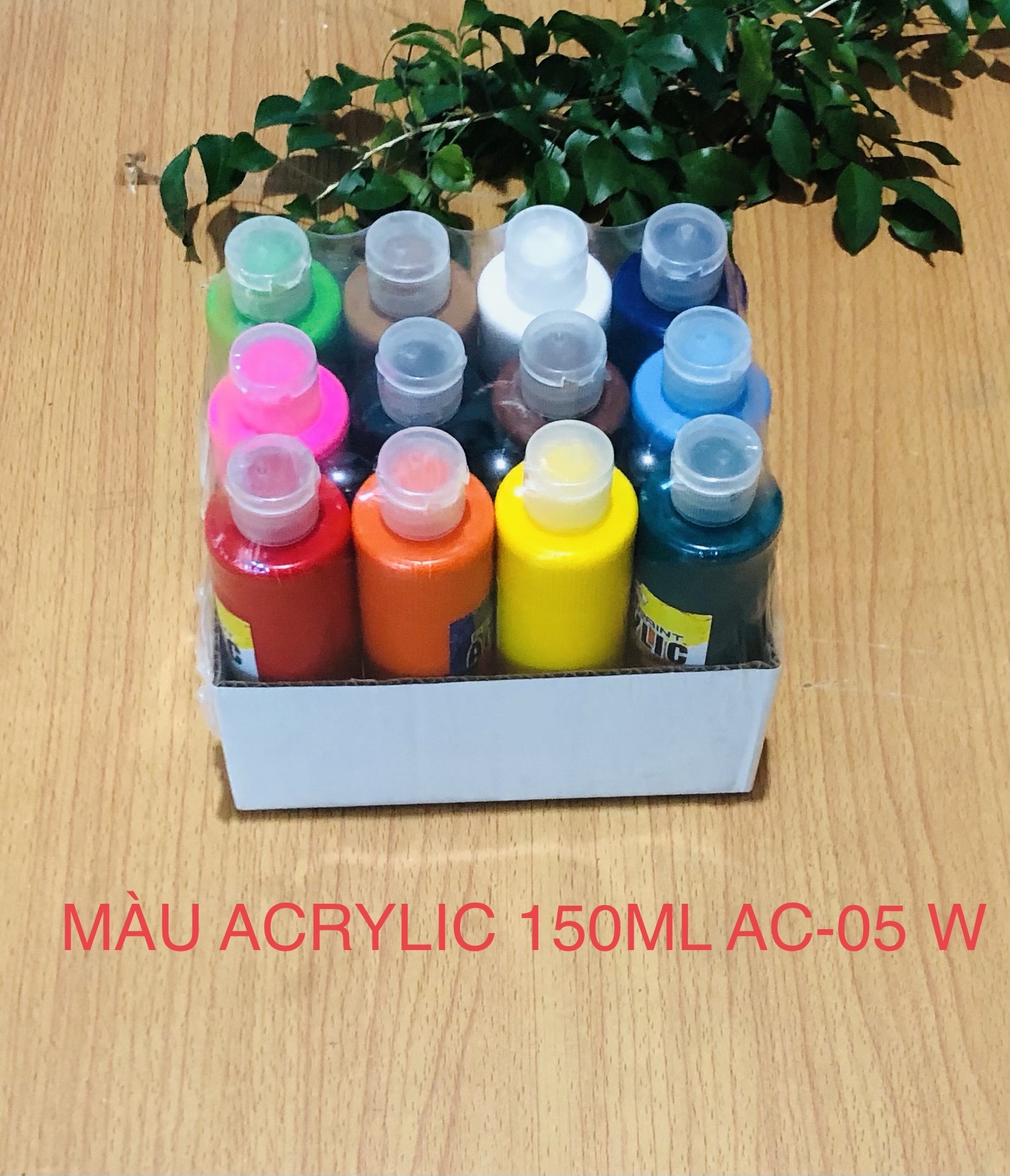 Màu acrylic 150ml ac-05 w- màu vẽ tranh tường , giày dép, quần áo _ vpp abc vina
