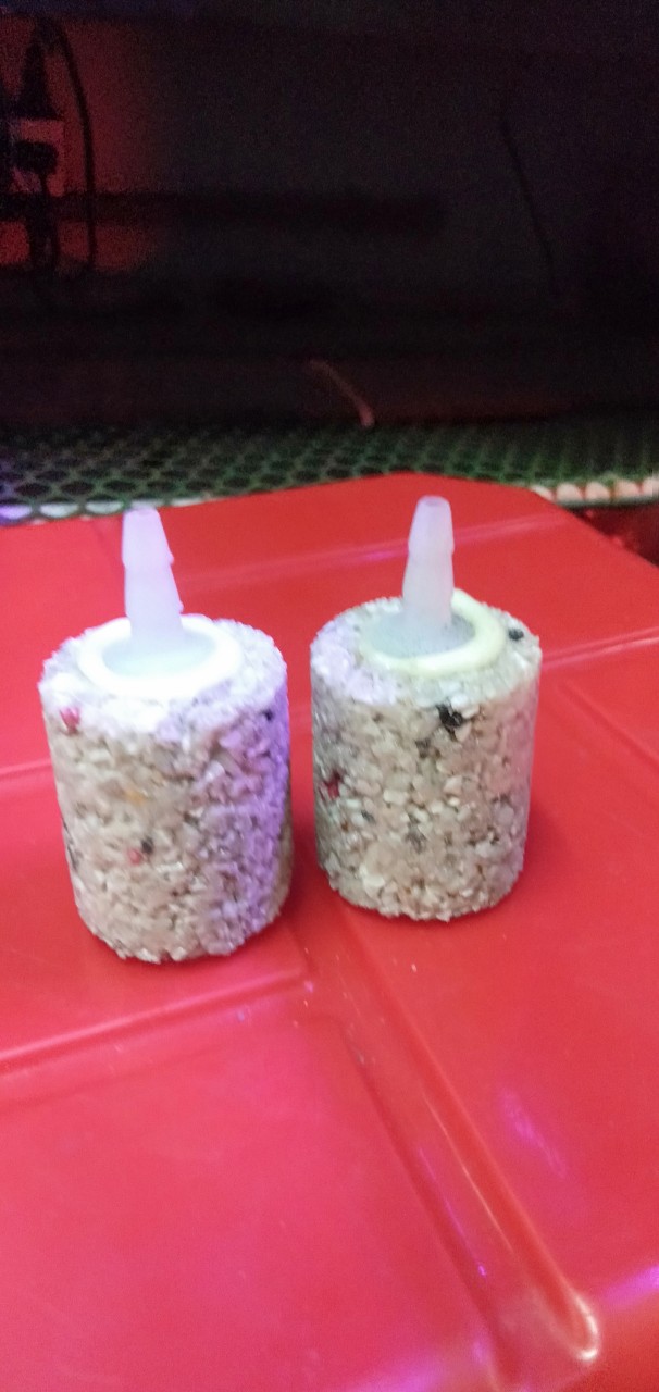 Combo 10 cục sủi oxy mè . sỉ và lẽ .