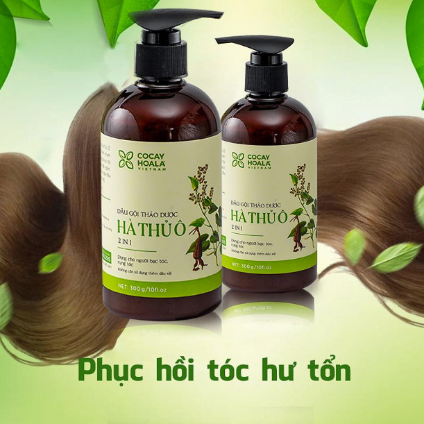 Dầu Gội Hà Thủ Ô 300ml. Ngăn rụng tóc, kích thích mọc tóc,sạch gàu và làm sạch sâu da đầu