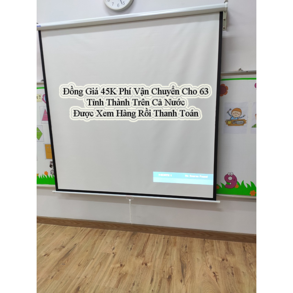 Màn Chiếu Treo Tường Dalite
