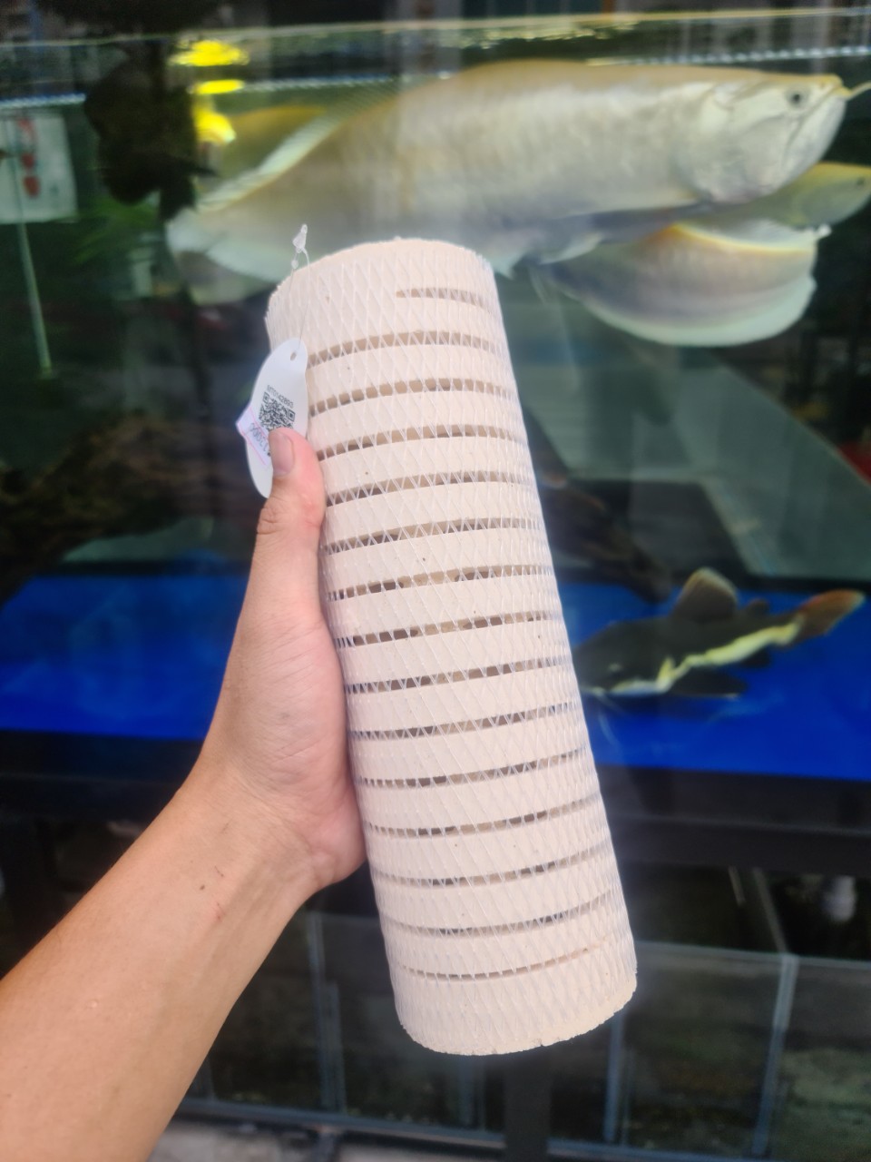Thanh sứ củ sen lọc nước hồ cá- sứ lọc củ sen thế hệ 2 xl – lotus root bacteria house ii mountain tree