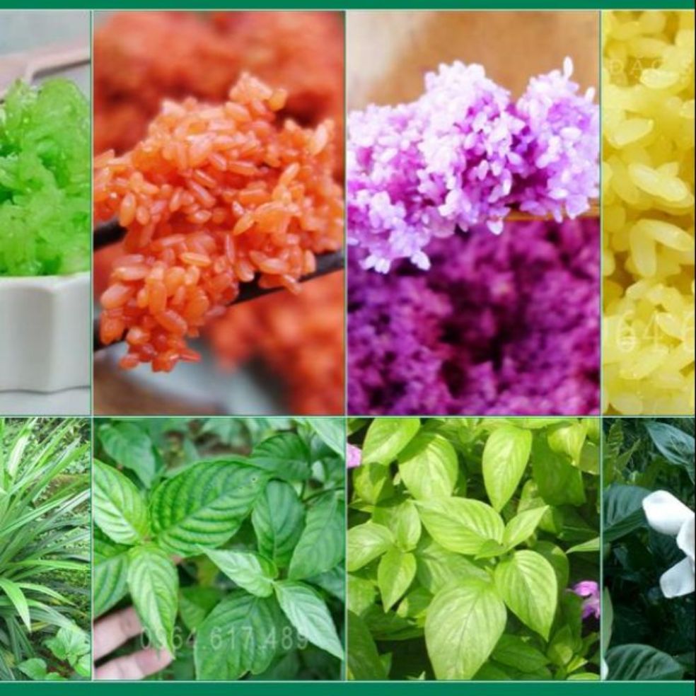 [HCM]1 kg lá cẩm nấu xôi chè