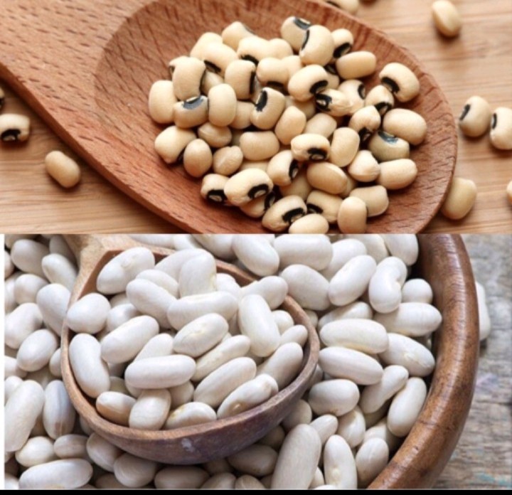 500gr đậu trắng tây