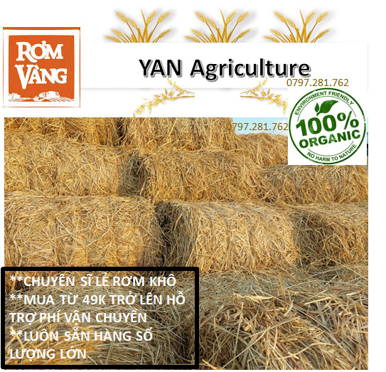 5 KG rơm khô/năm kí rơm khô/rơm khô/rơm rạ khô/rơm cuộn/rơm sấy khô/rơm khô trang trí/rơm khô trồng cây/rơm trồng cây/rơm ủ gốc cây/rơm lót quà/rơm khô nướng cá/rơm làm vườn/rơm khô làm vườn