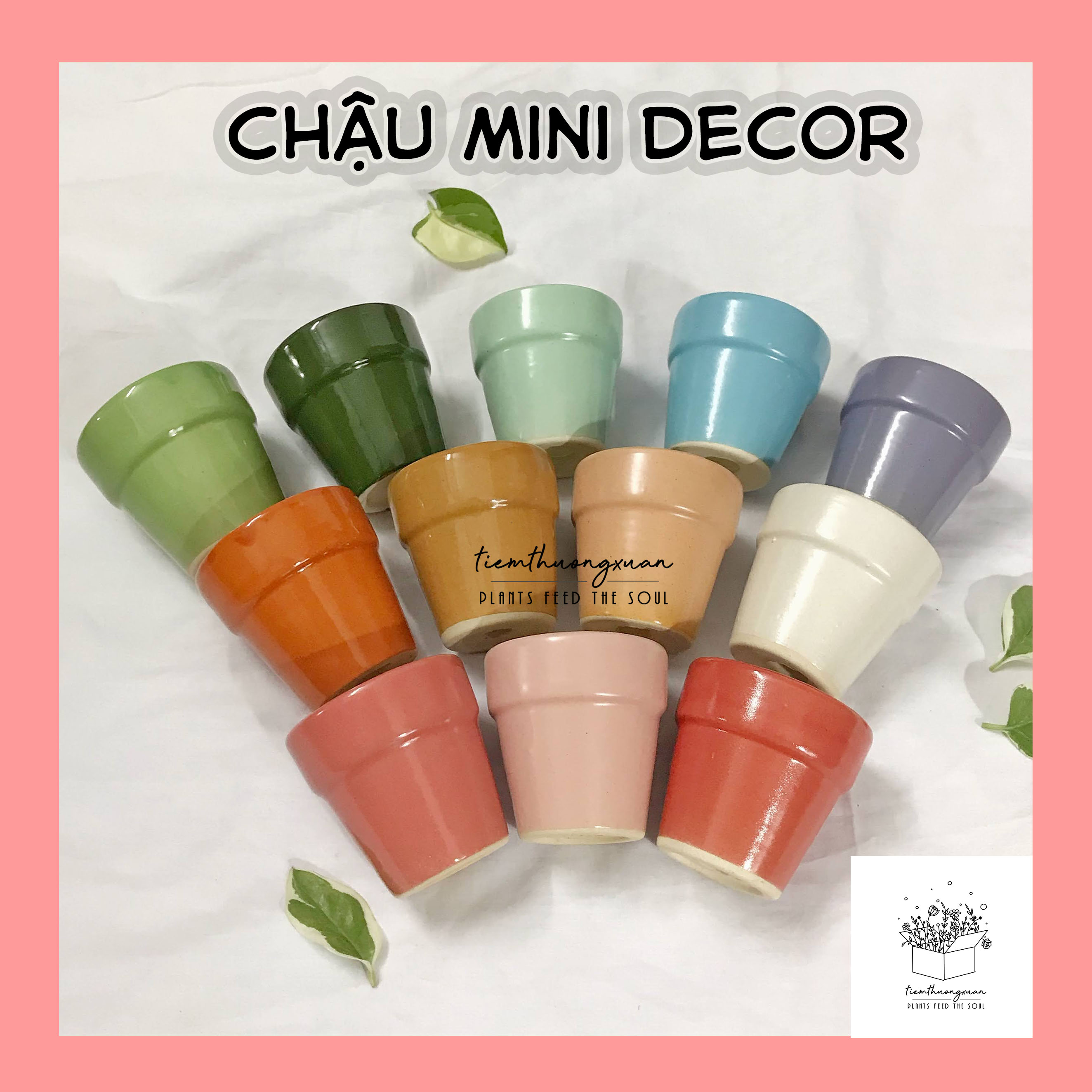Chậu sứ mini - Trồng cây sen đá, tai thỏ, xương rồng, hạt giống, cây giống, cây mini - Phụ kiện trang trí văn phòng, bàn học, sân vườn - Tiệm thường xuân