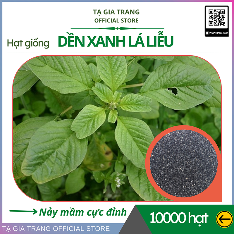 Hạt giống rau dền xanh lá liễu - Shop hạt giống Tạ Gia Trang