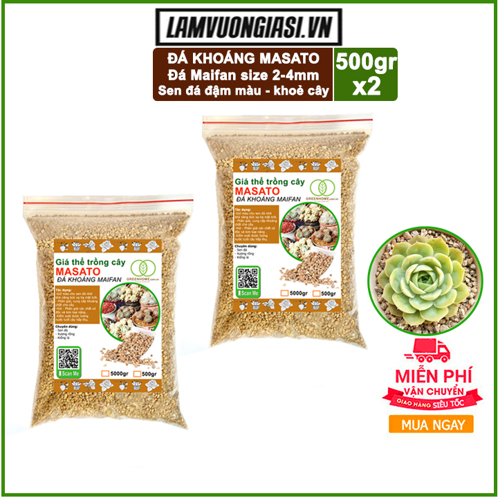 Bộ 2 bao Đá khoáng Masato (Maifan)2-4mm 500gr chuyên rải mặt chậu kiểng lá xương rồng sen đá.