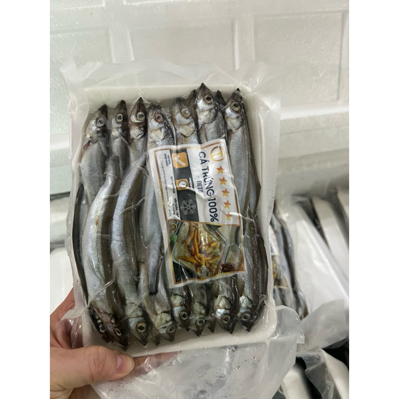 Cá trứng Nauy full trứng 100% _ vĩ 500gr(giao hoả tốc hcm)