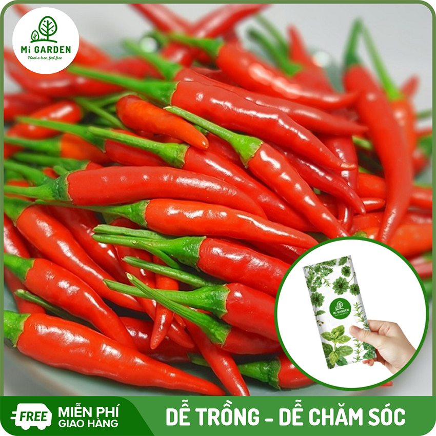 Hạt giống Ớt Xiêm Mi Garden, hạt giống mới, tỉ lệ nảy mầm cao, túi 10 - 15 hạt