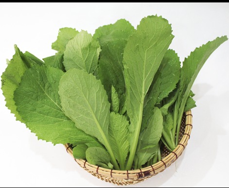 Hạt giống cải xanh mỡ Thuận Điền