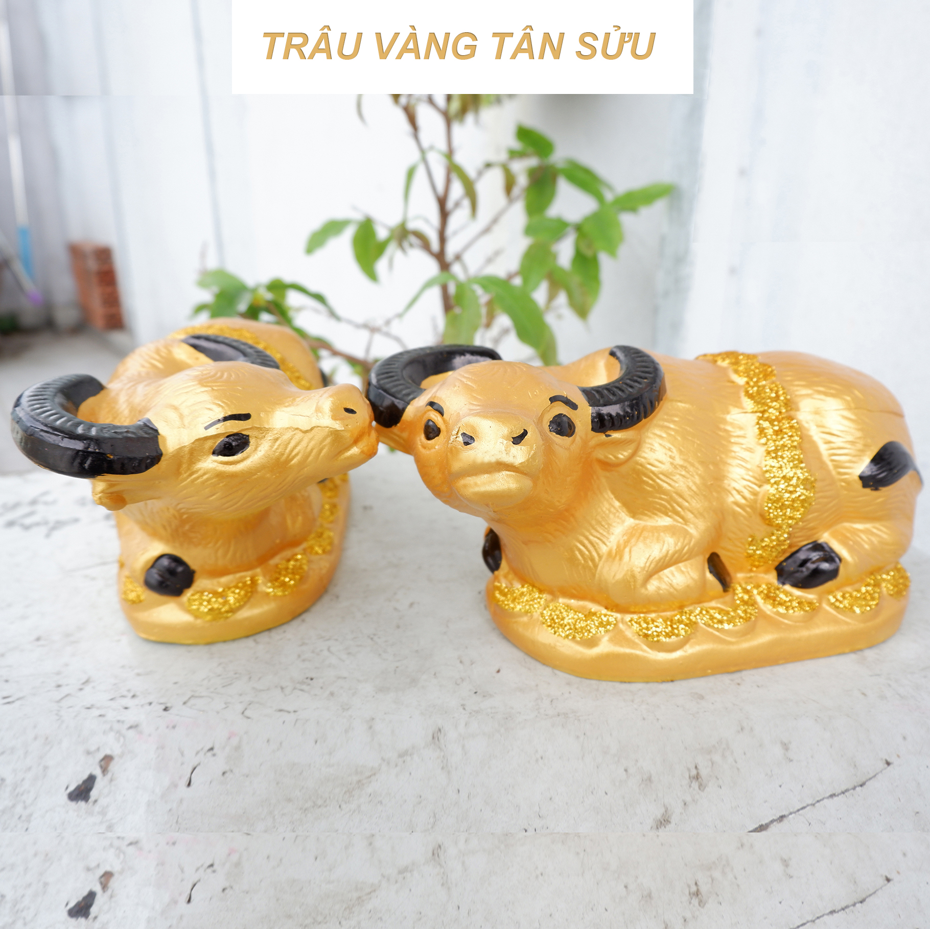 Trâu vàng tiết kiệm - trâu đất vàng kim