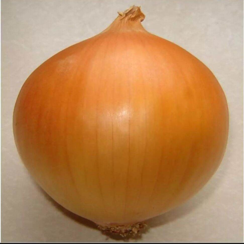 Hành tây 1kg