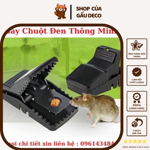 Bẫy chuột thông minh - giá rẻ hiệu quả cao