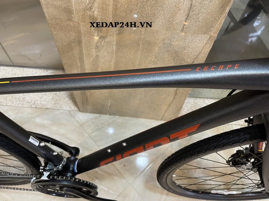 xe đạp thể thao đường phố GIANT ESCAPE 2 2022 thiết kế tuyệt đẹp