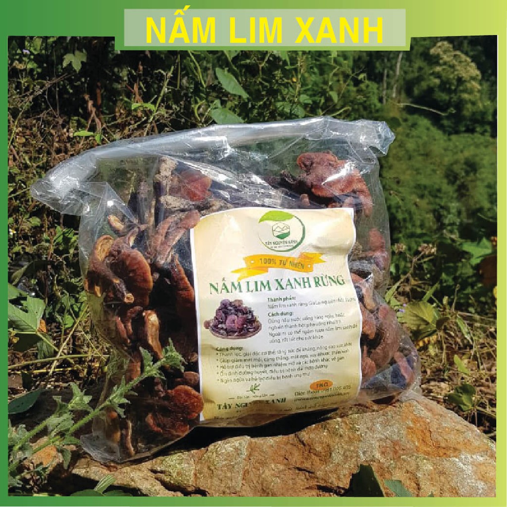 Nấm lim xanh rừng chuẩn 100% -100gram