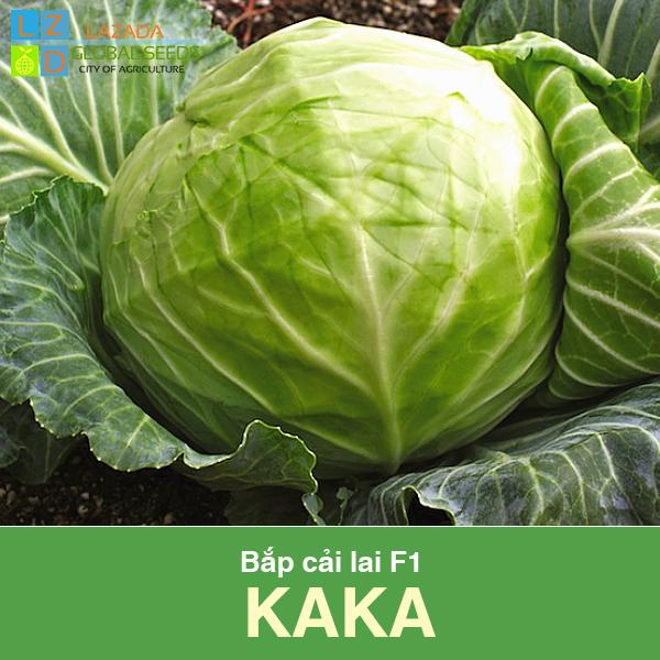 [HCM]Bắp cải lai F1 Chịu Nhiệt  Dễ Trồng _ gói 0.5gram .