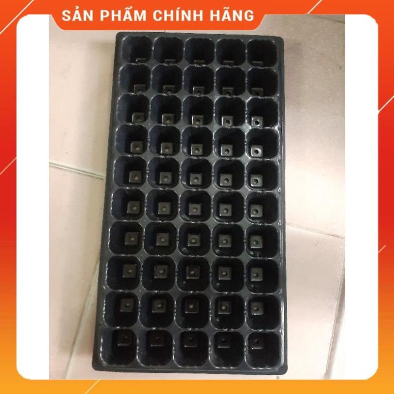 Bộ 5 khay ươm hạt giống 50 lỗ.