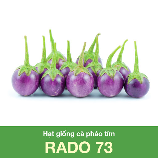 Hạt Giống Cà Pháo Tím Sai Trái (0.5gr)