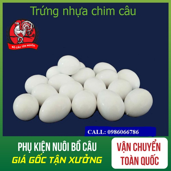 Combo 30 trứng nước cho chim bồ câu - trứng nước cho chim bồ câu - trứng nước cho chim - trứng nước cho chim
