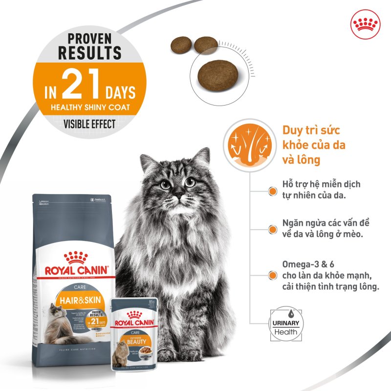 [giao2h pettohouse gò vấp] thức ăn chăm sóc da và lông cho mèo Royal Canin hair and skin care 2kg hạt khô sản xuất tại pháp cho mèo trưởng thành trên 12 tháng tuổi